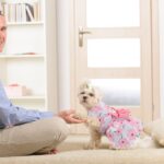 KUTKUT Floral Pattern Dog Dress with Lovely Bow Pet Apparel Dog Clothes for Small Breed Dogs and Cats | Puppy Summer Dress | Dogs and Cats Birthday Pet Apparel Dresses (Size:L, Bust:42cm, Length:32cm) - Image 7