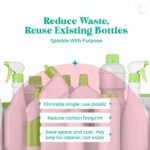 Cleevo Kitchen Cleaner Spray- 1L Bottle Pack | Natural Plant-Based Cleaning Spray for Tough Stains, Gas Stove, Countertop, Chimney | Grease & Grime Remover | All-in-One Kitchen Surface Cleaner - Image 8