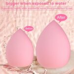Multi-Shape Makeup Sponge Set | 20 Piece Beauty Puff Collection with Headband and Clean Sponge | Pink, Purple, Beige & Bright Sets | Face Blender Kit for Cream, Liquid & Powder | Aesthetic and Functional Makeup Tool (Brown, 20Pcs) - Image 5