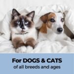 Moe Waterless Grooming Kit for Dogs and Cats | Paw Balm (30gm) + Rinse Free Waterless Shampoo (150ml) + Deodrizer Spray (100ml) + Ear Care Plus Ear Cleaning Solution (100 ml) - Image 6