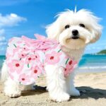 KUTKUT Floral Pattern Dog Dress with Lovely Bow Pet Apparel Dog Clothes for Small Breed Dogs and Cats | Puppy Summer Dress | Dogs and Cats Birthday Pet Apparel Dresses (Size:L, Bust:42cm, Length:32cm) - Image 8