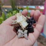 Korean Hair Clips for Womens - Set of 20 Hair Accessories, Mini Hair Claws for Women Stylish Latest, Clips for Girls, Hairs Pins for Women, Cute Mini Hairs Accessories for Girls - Image 6