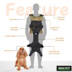 Buraq Pup Explorer Head-Out Dog Carrier Backpack, Adjustable Front & Back Head-Out Feature with Wide Straps & Hip Belt Support, Travelling Pet Bag for Small Breed Puppies (Grey, S) - Image 3