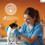 Pet Wipes for Dogs & Cats | 160 Count | 80 x Pack of 2 | Vet Recommended Grooming Wipes |Alcohol-Free Wet Wipes for Cats & Dogs|Pets Dry Bathing, Paw Cleaning| Aloe Vera, Jojoba Oil, Vitamin E - Image 2