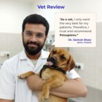 Pre + Probiotic Supplement for Dogs (120g) | 10B CFU | Boosts Gut Health & Immunity | Gluten-Free | Vet Formulated | Prevents Scratching, Paw-Licking & Indigestion | Chicken Flavour - Image 5