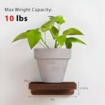 Dime Store Engineered Wood Floating Shelves for Wall Decor Wall Shelf Storage Organizer | Mini Display Shelf for Living Room, Bathroom, Kitchen & Bedroom Décor Set of 4 (Brown) - Image 3