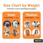 Buraq Pup Explorer Head-Out Dog Carrier Backpack, Adjustable Front & Back Head-Out Feature with Wide Straps & Hip Belt Support, Travelling Pet Bag for Small Breed Puppies (Grey, S) - Image 4