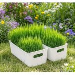 Multipurpose Plastic Storage Box and Organiser for Drawers, Kitchen, Bathroom & Desk | Slim Organizer Bins for Stationery, Makeup, Toys & More | Storage Organiser Pack of 4(26.5x10x9 cm) - Image 9