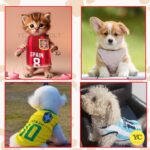 YellowCult Cotton Cute Dog T-Shirt Clothes, Summer Sweatshirts Sporty Pet Random Design Outfit for Small Breed Dog, cat, Puppy, Kitten, Diwali, Festival, Travel, Outing, Photos(S- Any 1, Multicolor) - Image 4