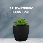 eo Pen Stand for Study Table with Self-Watering Plant Pot, Glasses & Smartphone Holder – Desk Organizer & Pencil Holder for Office, Home, Kids, Students, Study Room (Desk Station Black) - Image 4