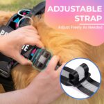 KIKA Pets Personalized Dog Harness|Dog Harness With Name|Customized Dog Vest Harness, Large Size (For 21-35 Kilograms Dogs), Multicolor - Image 9