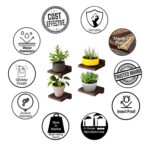 Dime Store Engineered Wood Floating Shelves for Wall Decor Wall Shelf Storage Organizer | Mini Display Shelf for Living Room, Bathroom, Kitchen & Bedroom Décor Set of 4 (Brown) - Image 6