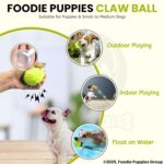 Foodie Puppies Latex Rubber Squeaky Dog Chew Ball Toy - (Claw Ball, Small) Durable and Safe Fetch Teething Dog Toy for Puppies and Small to Medium Dogs, Paw Design Helps to Clean Teeth (Diameter, 6cm) - Image 9