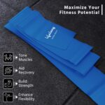 Lifelong Resistance Bands | 6.9kg, Extra Heavy| Ideal for Home Exercise, Gym Toning | Durable Latex Thera Bands for Fitness, Yoga, Pilates | Resistance Band for Men & Women (Blue) - Image 6