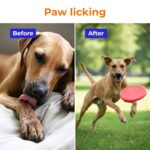 Pre + Probiotic Supplement for Dogs (120g) | 10B CFU | Boosts Gut Health & Immunity | Gluten-Free | Vet Formulated | Prevents Scratching, Paw-Licking & Indigestion | Chicken Flavour - Image 4