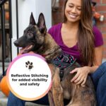 KIKA Pets Personalized Dog Harness|Dog Harness With Name|Customized Dog Vest Harness, Large Size (For 21-35 Kilograms Dogs), Multicolor - Image 8