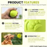 Foodie Puppies Latex Rubber Squeaky Dog Chew Ball Toy - (Claw Ball, Small) Durable and Safe Fetch Teething Dog Toy for Puppies and Small to Medium Dogs, Paw Design Helps to Clean Teeth (Diameter, 6cm) - Image 3
