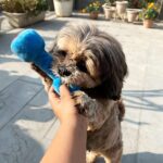 Goofy Tails Gym Series Dumbbell Plush Dog Toy | Light Chewers | Plush Toy | Soft Dog Toys for Puppy | Great for Playing Fetch and Retrieve (Blue) - Image 7