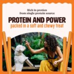 Kennel Kitchen Soft Baked Lamb with Pumpkin Sticks Treats for Dogs, 100g (Pack of 1) | Soft Dog Chew Sticks | Dog Treats for Adult Dogs and Puppies - Image 7