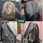 Buraq Bubble Transparent Window Cat Backpack Carrier, Breathable & Ventilated, Comfortable & Spacious for Cats, Durable & Stylish Design (Grey) - Image 6
