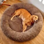 ZEXSAZONE Round Donut Pet Bed for Cats and Puppies Dogs mat, Cozy and Plush, Raised Bedside Support, Both Sides Use Like 2 in 1, Washable, Sizes for Small, Medium Pets. Coffee, Size- 70x70x15 cm
