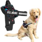 KIKA Pets Personalized Dog Harness|Dog Harness With Name|Customized Dog Vest Harness, Large Size (For 21-35 Kilograms Dogs), Multicolor