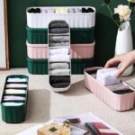 TEX-RO Storage Box and Organiser - Cloth Organizer for Storage, Wardrobe Organizer for Storage, Clothes Organizer, Drawer Organizers for Underwear, Socks, Ties (Set Of 4, Multi-colour)