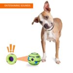 amazon basics Interactive Sound Ball Toy for Dogs and Puppies| Fun Squeaky Sounds | Pet-Safe Materials| Suitable for All Dog Breeds | Size - Large - Image 2