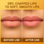 HEY TEEN Honey Bee Lip Balm | Red Honey, Shea Butter & Seabuckthorn Oil | Natural Moisturizing & Repairing | Glossy Finish | 8 ml - Image 4