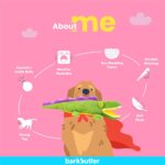 BarkButler Aly The Gator Plush Dog Toy - Soft & Squeaky Toys for Dogs, Dog Toys for Large Dogs (5-30kgs) - Green - Image 3