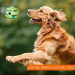 amazon basics Interactive Sound Ball Toy for Dogs and Puppies| Fun Squeaky Sounds | Pet-Safe Materials| Suitable for All Dog Breeds | Size - Large - Image 4
