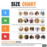 BURAQ Dog Harness | No Pull Dog Belt | Reflective Dog Vest Oxford Fabric | Soft Padded Easy Control Dog Chest Belt | No More Pulling Or Choking | for Large Medium Small Dogs, Black, Pack of 1 - Image 4