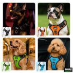 BURAQ Dog Harness | No Pull Dog Belt | Reflective Dog Vest Oxford Fabric | Soft Padded Easy Control Dog Chest Belt | No More Pulling Or Choking | for Large Medium Small Dogs, Black, Pack of 1 - Image 7