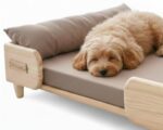 Wooden Small Dog Bed with Cotton Cushion and Mattress | Dog Furniture Wooden Luxury Pet Bed for Small Dogs and Cats | 24×18×6 inch (2×1.5 feet)