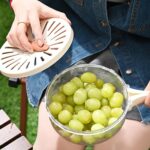 Multifunctional Fruit Washing & Draining Bowl with Lid and Handle - Image 9